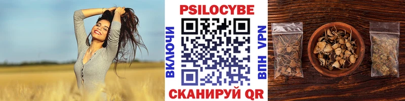 Псилоцибиновые грибы ЛСД  Пошехонье 
