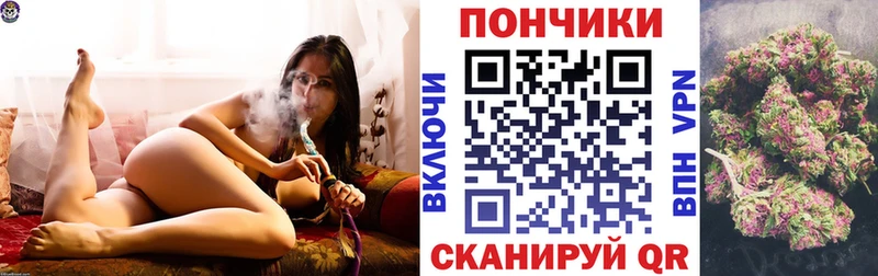 где найти наркотики Пошехонье Бошки марихуана LSD WEED
